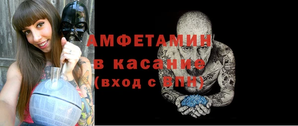 гидра Надым