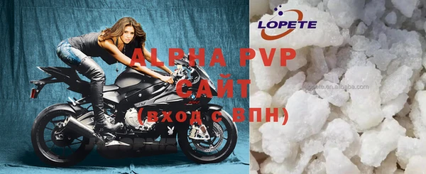 гидра Надым