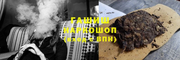 гидра Надым