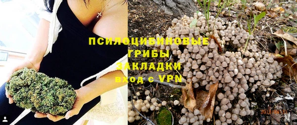 гидра Надым